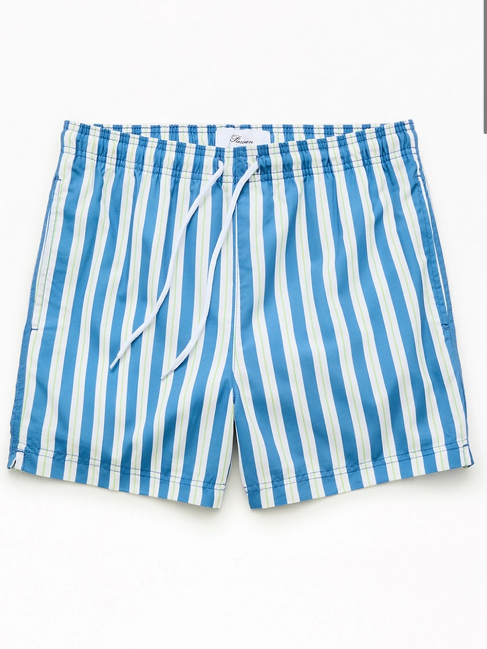PacSun Blue and White Vertical Stripe Swim Trunks